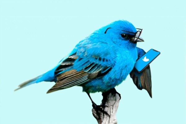 10 Ways you can double your Twitter Engagement